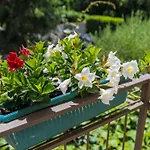 דירה Nino-2 By Interhome